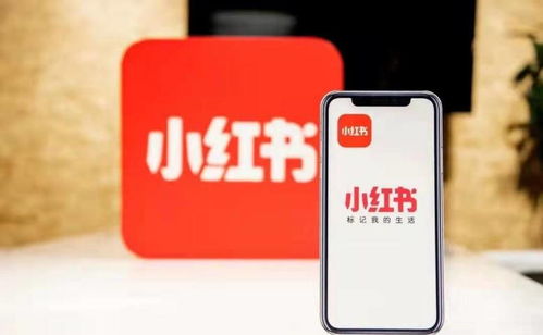 杭州噫融網(wǎng)絡 以專業(yè)運營驅動小紅書種草推廣，助力計算機軟硬件品牌搶占市場先機